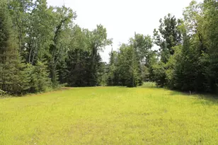 1710 Miller Rd, Lincoln, MI 48742 - Photo 53