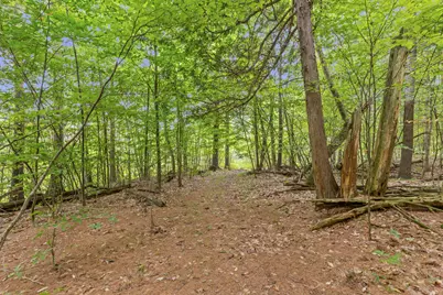 V/L W Stanton, Stanton, MI 48888 - Photo 23