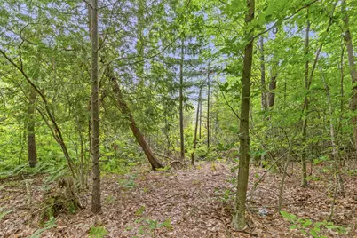 V/L W Stanton, Stanton, MI 48888 - Photo 9