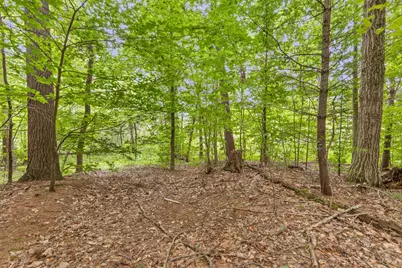 V/L W Stanton, Stanton, MI 48888 - Photo 17