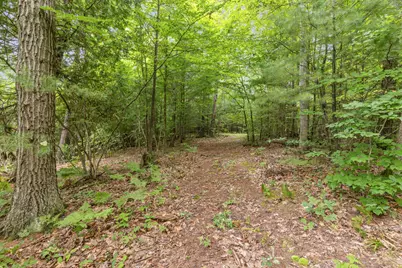 V/L W Stanton, Stanton, MI 48888 - Photo 13