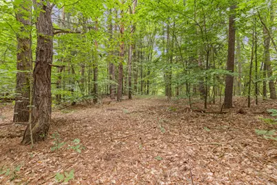 V/L W Stanton, Stanton, MI 48888 - Photo 19