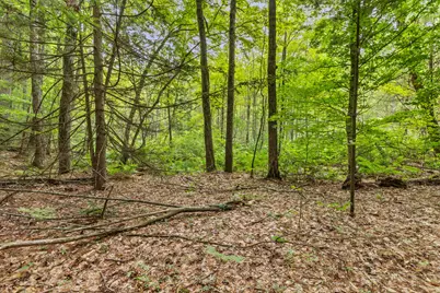 V/L W Stanton, Stanton, MI 48888 - Photo 25