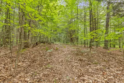 V/L W Stanton, Stanton, MI 48888 - Photo 21
