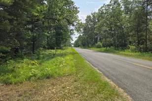 5140 S Kings Hwy, Chase, MI 49623 - Photo 11