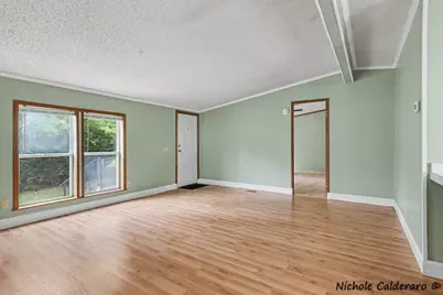 370 W Brooks Street, Newaygo, MI 49337 - Photo 3