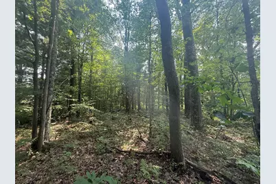 12th Avenue, Bitely, MI 49309 - Photo 3
