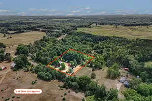 1061 E Fountain Rd, Free Soil, MI 49411 - Photo 7