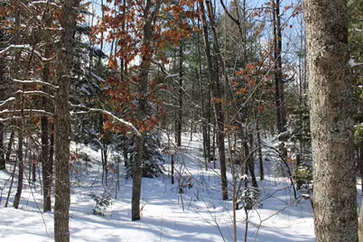 0Vl Grayling Road, Grayling, MI 49738 - Photo 19