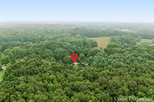 13790 Hutchinson Rd, Dowling, MI 49050 - Photo 41