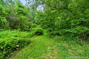 13790 Hutchinson Rd, Dowling, MI 49050 - Photo 33