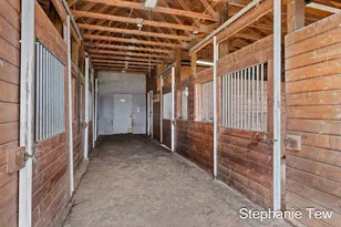 4155 N Neff Rd, Edmore, MI 48829 - Photo 11