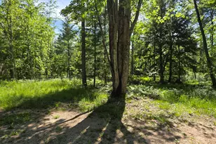 4869 E Free Soil Rd, Free Soil, MI 49411 - Photo 11