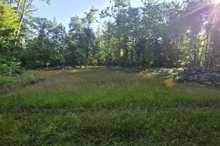 4869 E Free Soil Rd, Free Soil, MI 49411 - Photo 13