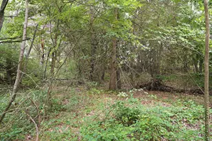 919 Armintrout Rdg Ct, Allegan, MI 49010 - Photo 47