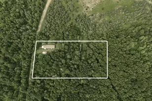 15766 Makinen Rd, Kaleva, MI 49645 - Photo 71