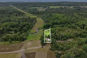 12599 Potter Rd, Bear Lake, MI 49614 - Photo 47