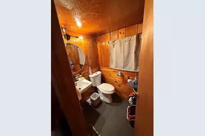 252 Marshall Street, Coldwater, MI 49036 - Photo 15