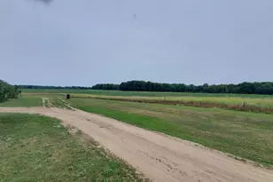 6986 E Meceola Rd, Evart, MI 49631 - Photo 13