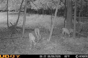 8670 N Baldwin Rd, Henderson, MI 48841 - Photo 77