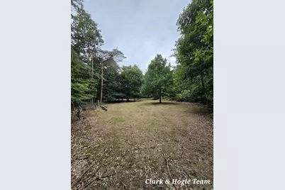 V/L N Westbrook Road, Ionia, MI 48846 - Photo 19