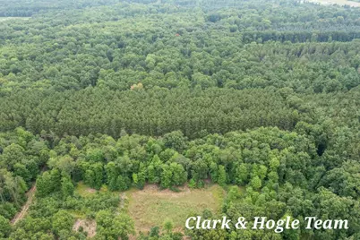 V/L N Westbrook Road, Ionia, MI 48846 - Photo 5