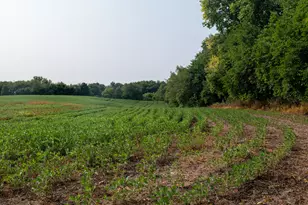 6819 Squawfield Rd, Pittsford, MI 49271 - Photo 31