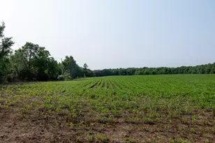 6819 Squawfield Rd, Pittsford, MI 49271 - Photo 39