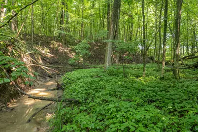 6819 Squawfield Road, Pittsford, MI 49271 - Photo 51