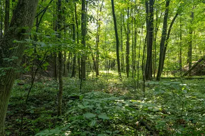 6819 Squawfield Road, Pittsford, MI 49271 - Photo 49