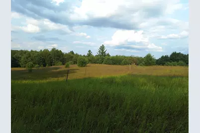 V/L 00 N Lakola Road, Leroy, MI 49655 - Photo 1