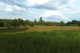 V/L 00 N Lakola Rd, Leroy, MI 49655 - Photo 1
