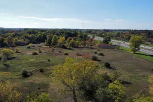 41193 N Park St, Paw Paw, MI 49079 - Photo 69