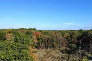 41193 N Park St, Paw Paw, MI 49079 - Photo 63