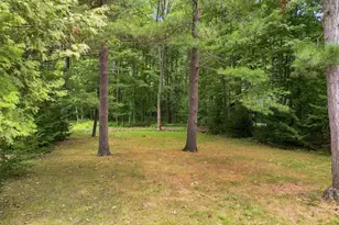 9545 E School Section Lake Dr, Mecosta, MI 49332 - Photo 37