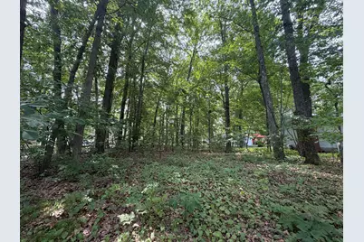 V/L S Deer Point Drive, Newaygo, MI 49337 - Photo 17