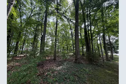 V/L S Deer Point Drive, Newaygo, MI 49337 - Photo 7
