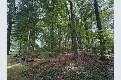 V/L S Deer Point Drive, Newaygo, MI 49337 - Photo 13