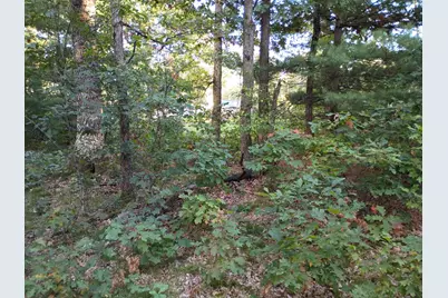 3985 S Peacock Trail, Baldwin, MI 49304 - Photo 53
