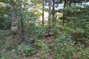 3985 S Peacock Trail, Baldwin, MI 49304 - Photo 53