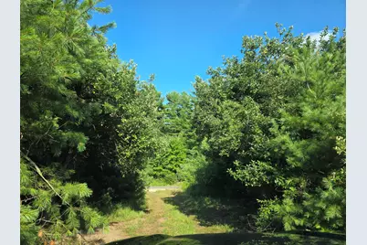 14773 180th Avenue, Stanwood, MI 49346 - Photo 3