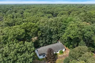 8111 Seminole Dr, Howard City, MI 49329 - Photo 41