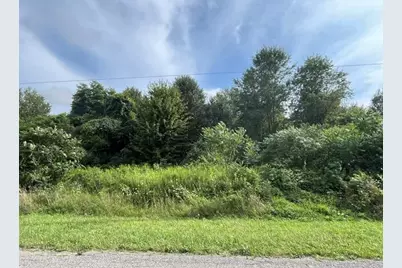 Little Paw Paw Lake Road, Coloma, MI 49038 - Photo 5