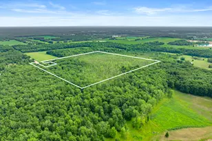 45 Acres 108th Ave, Allegan, MI 49010 - Photo 1