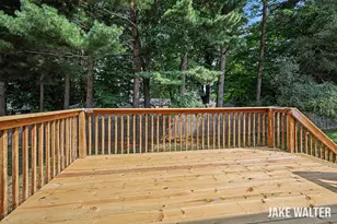 315 Sib Rumery St, Wayland, MI 49348 - Photo 19