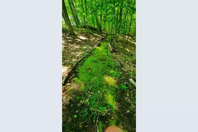 8 Acres, Third Street, Onekama, MI 49675 - Photo 35