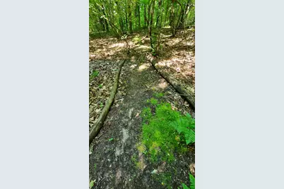 8 Acres, Third Street, Onekama, MI 49675 - Photo 25