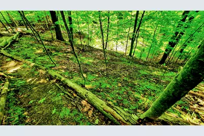 8 Acres, Third Street, Onekama, MI 49675 - Photo 33