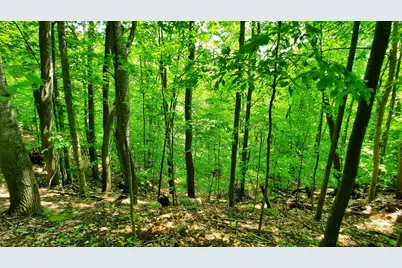8 Acres, Third Street, Onekama, MI 49675 - Photo 27
