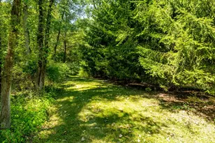 3447 River Pines Dr, Ann Arbor, MI 48103 - Photo 61